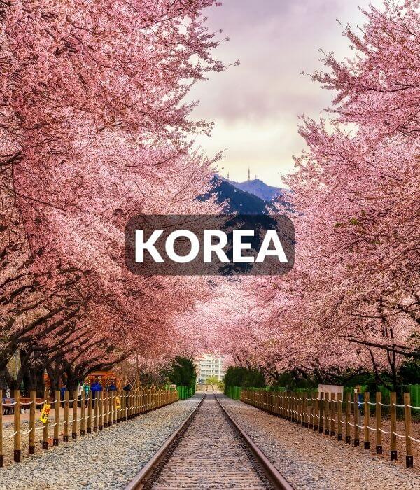 Korea link