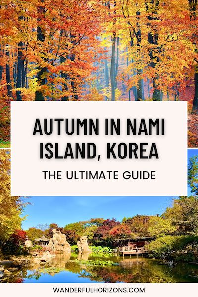 Pinterest Pin: Autumn in Nami Island, Kore - The Ultimate Guide