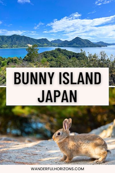 Discover Okunoshima: The Famous Bunny Island in Japan