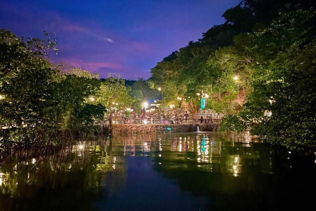 Hot springs lit up at night surrounded by mangrove trees.
