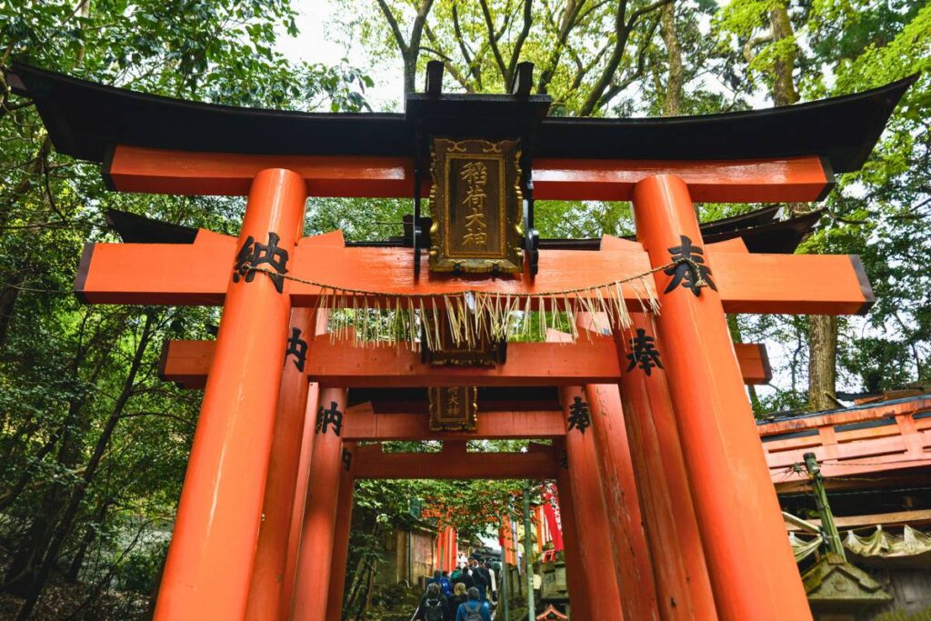 Kyoto Torii Gates Giant red torii gates lined up creating a path through the forest.
