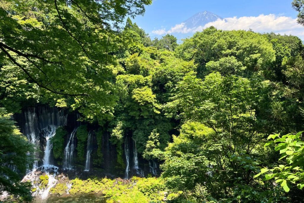 View of Mount Fuji above the trees surrounding Shiraito Falls.