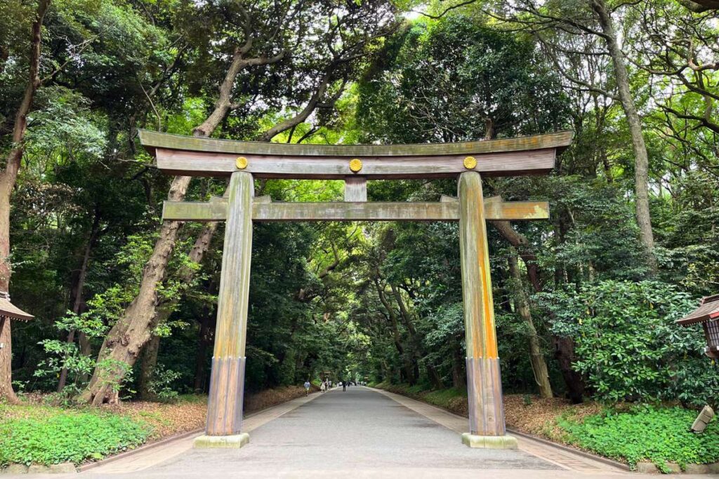 A large torii gate at Meiji Shrine marking the entrance to the forest.