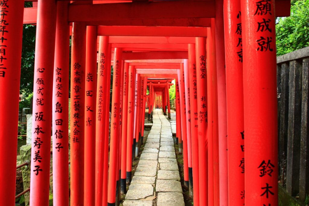 Tokyo Hie Shrine A pathway completely covered by bright red torii gates.