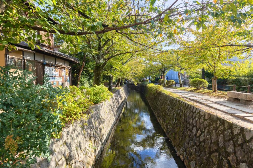 A canal lined with lush green trees in Kyoto
