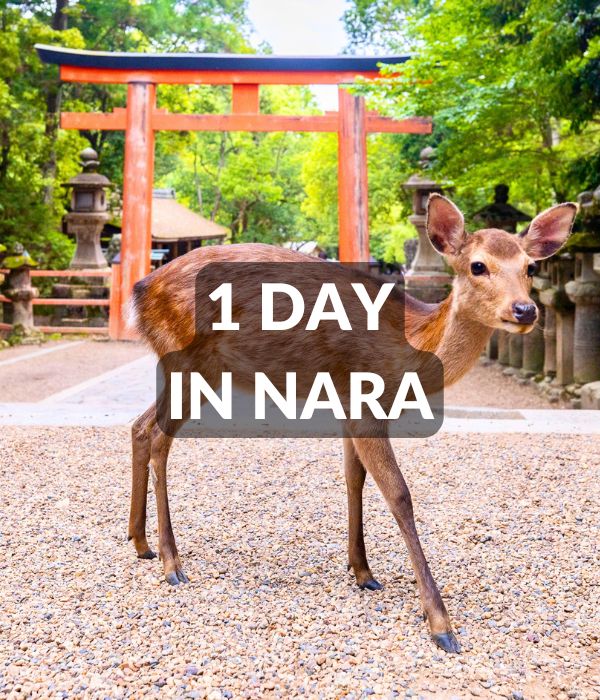 Feature Nara