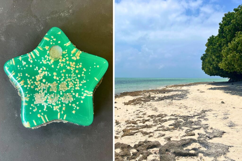 A close up photo of a display with star sand & a photo of the rocky shoreline at Kaiji Beach.