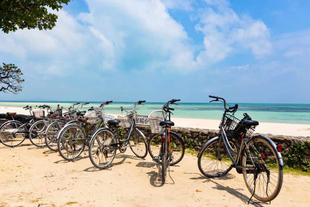 A row of bikes parked into front a low stone wall by the beach with blue-green waters in the distance.