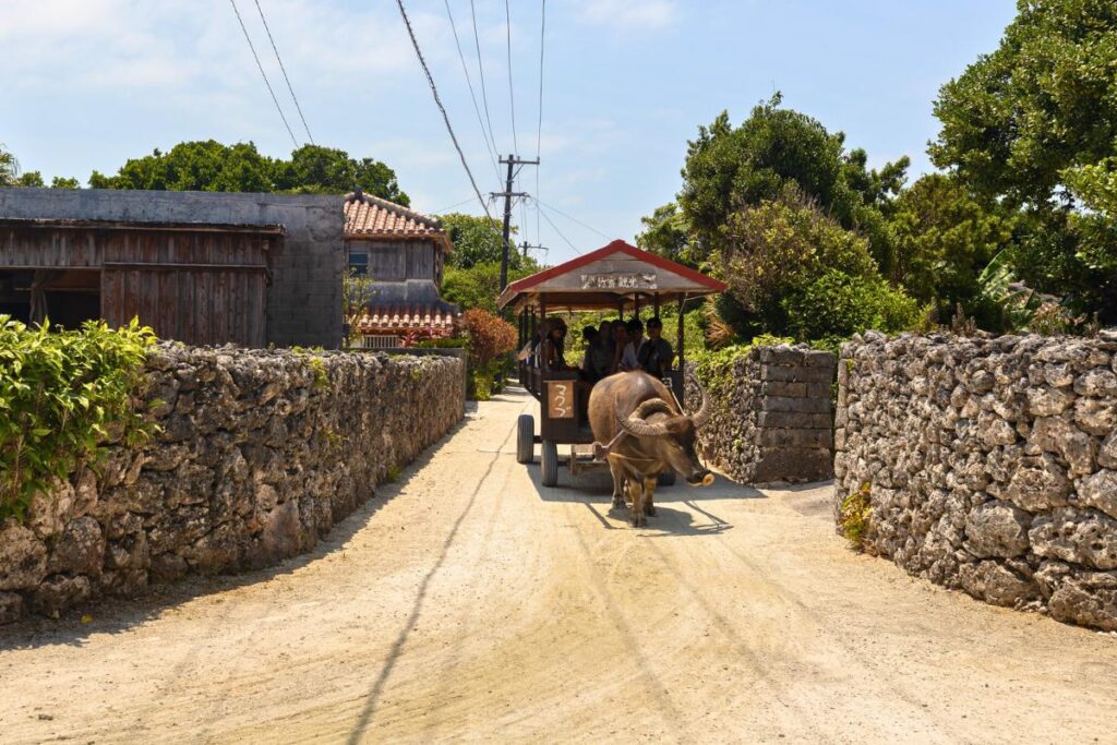 A water buffalo pulling a cart through the sandy streets of Taketomi Island - stone walls line the roads.