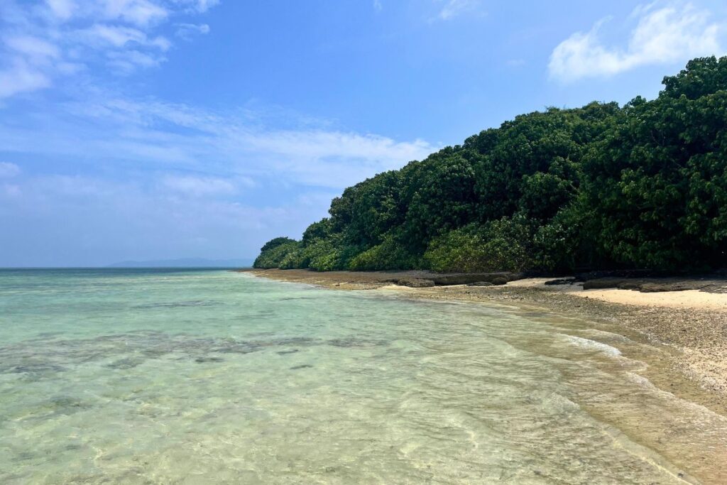 A view of Taketomi's shoreline with sand leading into a lush jungle forest.