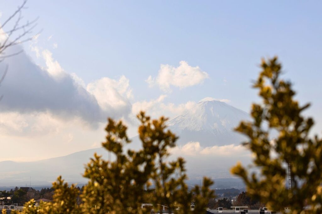 A close of shot of Mount Fuji with greenery in the foreground.